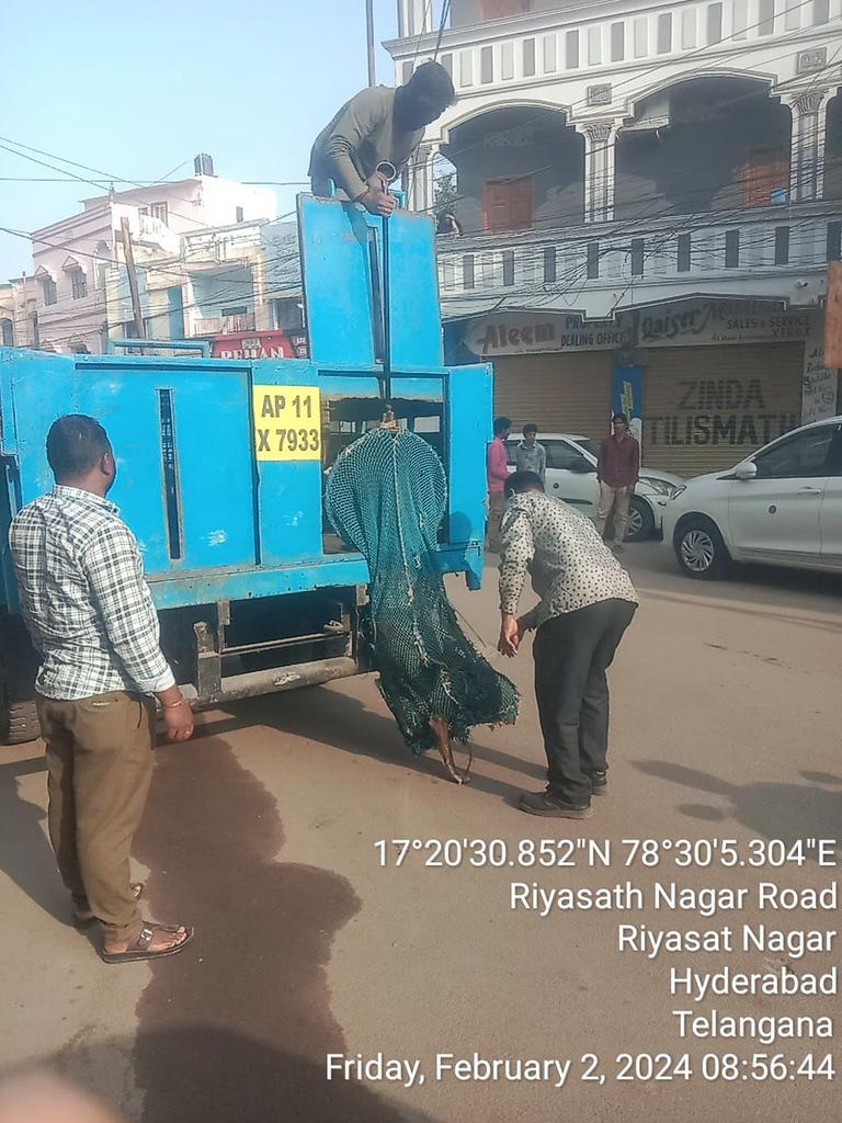 CrzOfficer's tweet photo. @mdh_dilawar @GHMCOnline Dear citizen, charminar zone dog squad Attended your Twitter complaint on 2nd February morning and evening shifts and caught 5dogs and shifted to ACC chudibazar for ABC/ARV https://t.co/7i9ng8yhd1