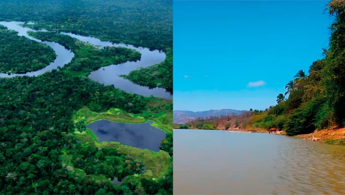 🚨 #Urgente | Congreso promueve dos carreteras que afectarían un parque nacional y un sitio Ramsar.
◾️Una de las carreteras atravesaría el Parque Nacional Cerros de Amotape (Tumbes), y el otro pasaría por el Abanico del Pastaza (Loreto). 
bit.ly/42FnhfP