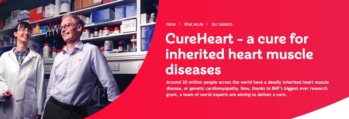 The CureHeart project aims to develop #GeneticTherapies to treat #inherited #cardiomyopathies, <a href="/TheBHF/">British Heart Foundation</a>

The CureHeart Patient Perspectives Study wants to understand people's experiences of #cardiomyopathy, views on treatments, and issues accessing care. 

ow.ly/IxiA50QwJH3