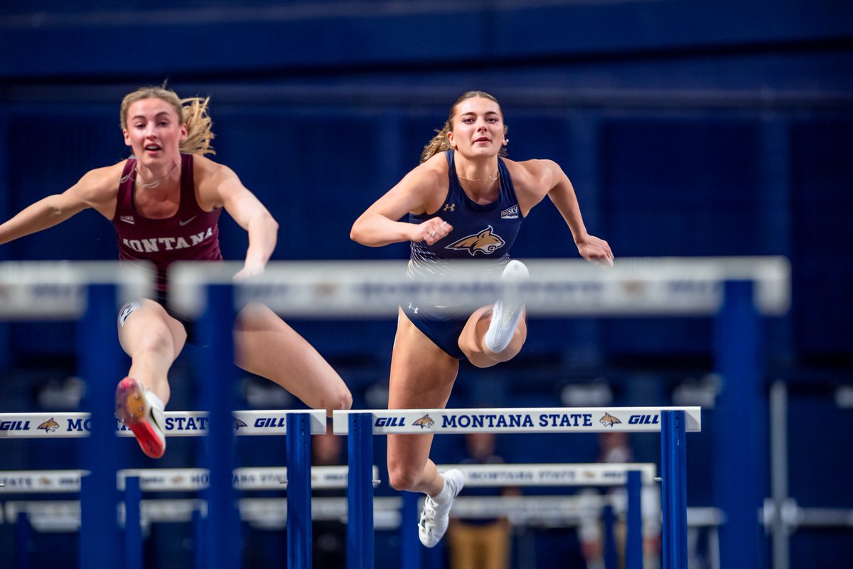 Montana State TF/XC tweet media