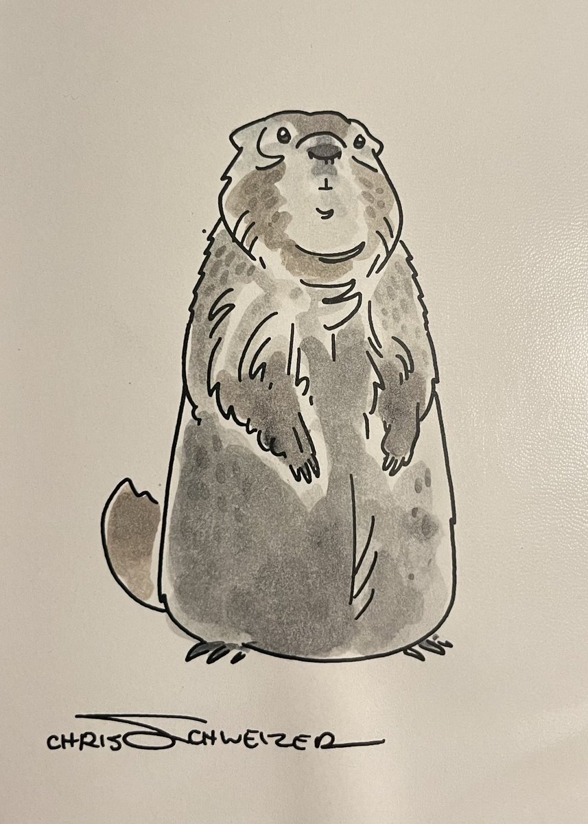 In honor of the big day, I give you groundhog by @schweizercomics.