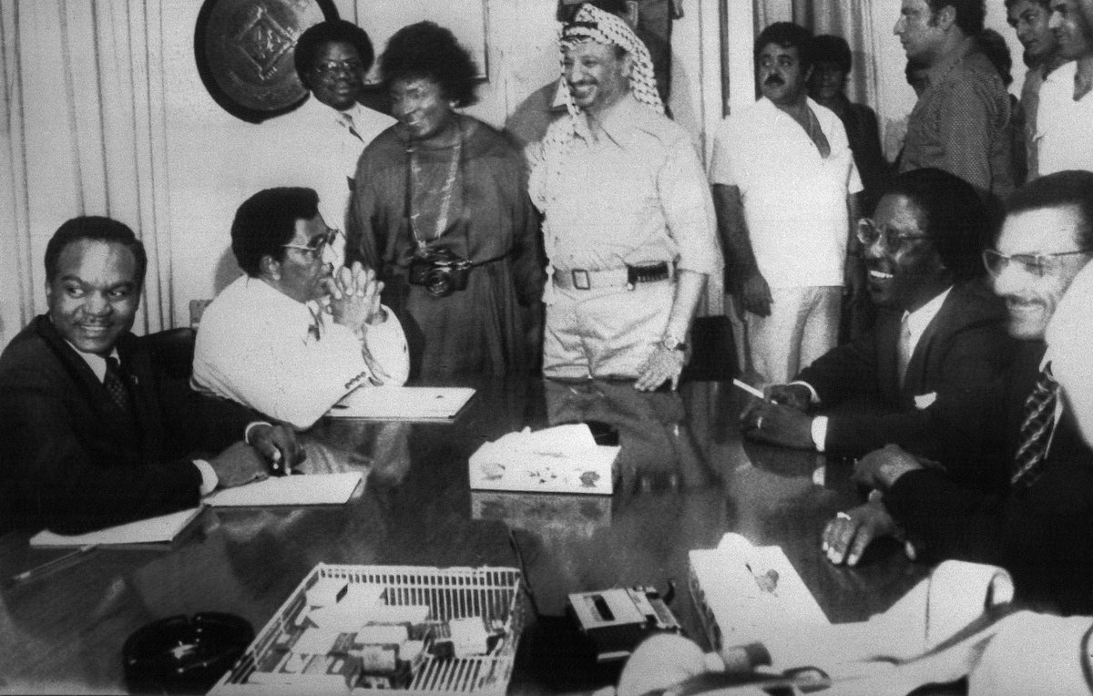 oreo ☆ tweet media