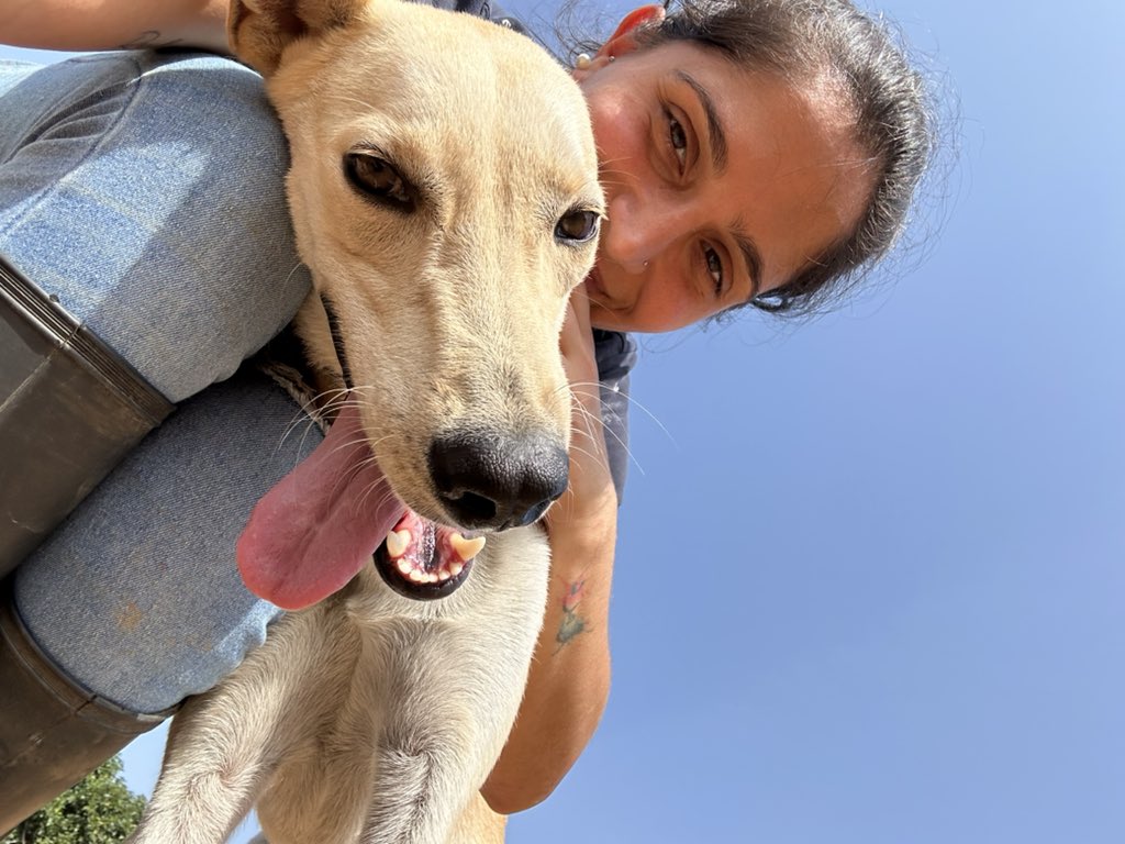 ayudemosapluto's tweet photo. May you always be happy, that will always be my mission ππ The most hyperactive thing in #TierraMiSalvador π€ My sweet #SnowAP πΎπΎ I love you son π«Άπ» https://t.co/do00gMfdW3