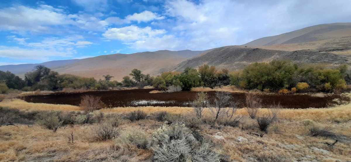 MescalProject's tweet photo. Happy #WetlandsDay #PaleoArchives #tǝmǝyekPond #ChumashWetlands #TehachapiMountains https://t.co/hwvJFspqky