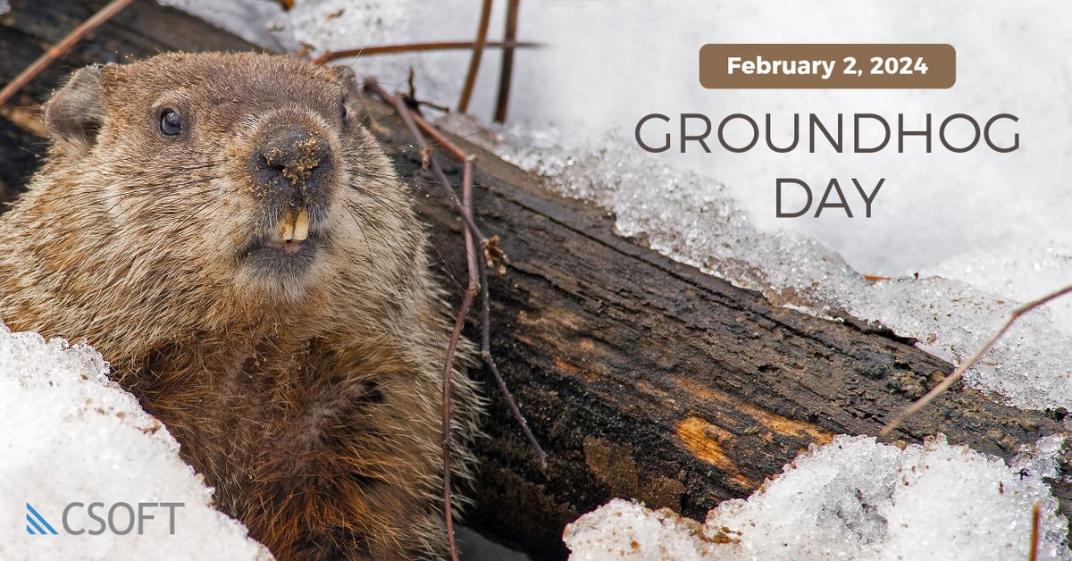 CSOFTHealth's tweet image. We can’t tell you if you’ll have another six weeks of winter, but we can translate your local groundhog’s findings into any language you’d like. 🌍✨ Check out the link in our bio for more! #GroundhogDay #TranslationMagic #WinterPredictions