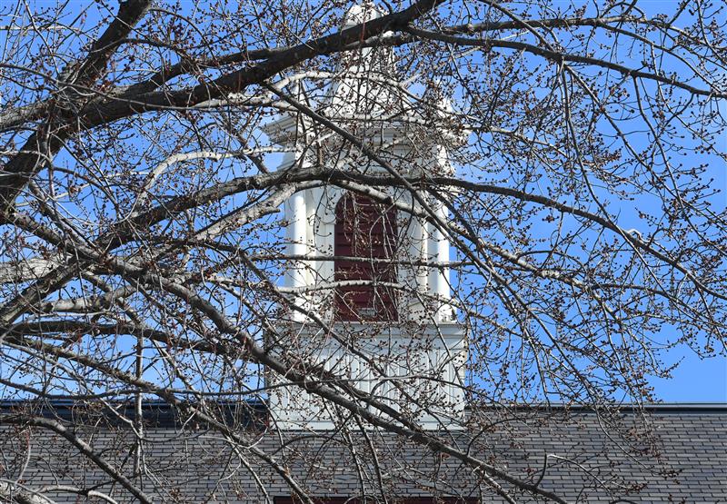 stcloudstate's tweet photo. Punxsutawney Phil did not see his shadow on Groundhog Day, predicting an early spring will come this year. 

Here at SCSU, the past few weeks have already felt like spring, making for some great views of our campus! ☀️ https://t.co/HbKwm0ovAb