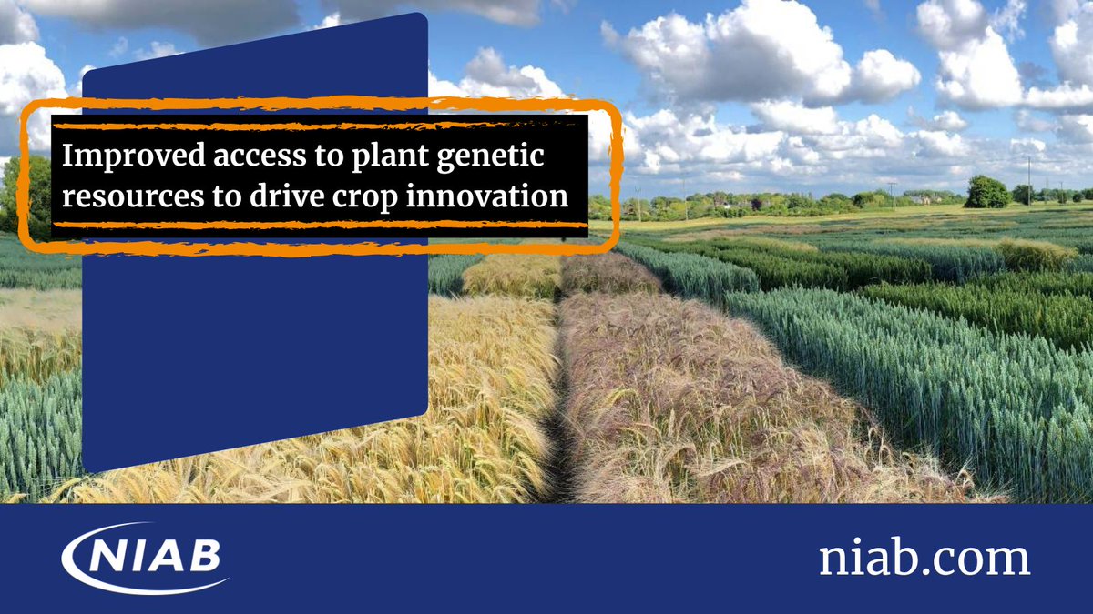 A new project, led by #NIAB and <a href="/emblebi/">EMBL-EBI</a> means that the genetic resources behind some of the most important plant traits driving agricultural crop production are being made easier to access by researchers with the development of open-source genomic tools➡️ niab.com/news-views/new…