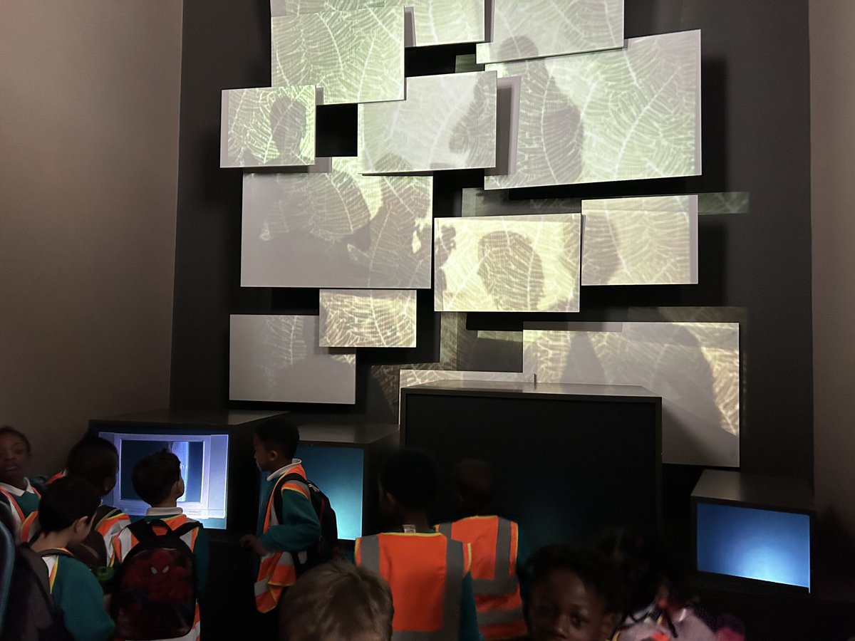 South Norwood TPA 🐝 tweet media