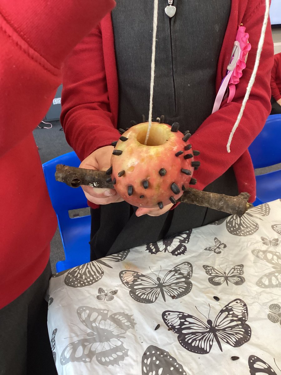 Malpas_Park's tweet photo. Blwyddyn 1 are hoping to attract lots of birds to our school grounds with their apple bird feeders. #MPPSY1 #MPPSHEC @Keep_Wales_Tidy https://t.co/ohL8aWBwPZ
