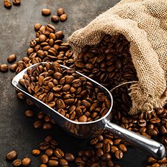 Stimolante, eccitante, alleato contro stanchezza e disturbi della memoria (problemi di concentrazione), il #caffè, a dosi moderate, potrebbe avere diversi effetti benefici sulla #salute. Informati su ISSalute 👉tinyurl.com/4tkka82f