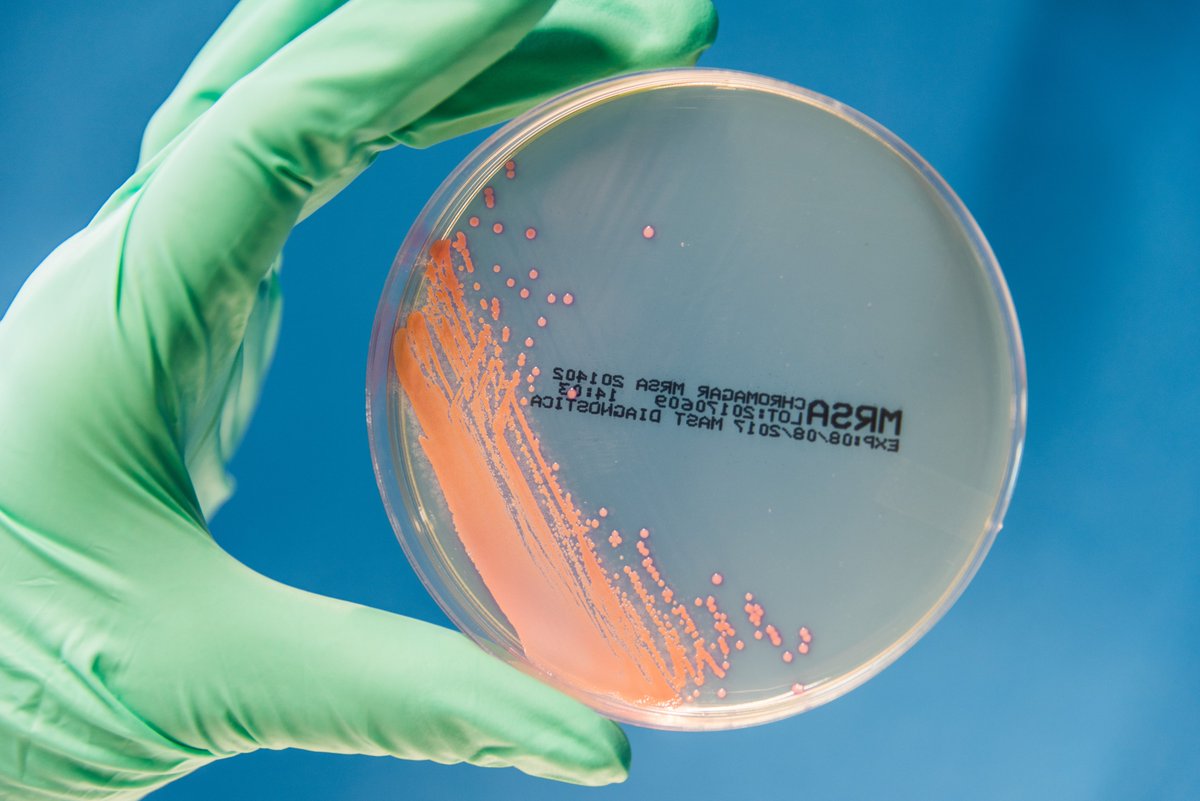 1/2
💊 Kriterien zur Einordnung eines Antibiotikums als Reserveantibiotikum und der zugrundeliegenden nicht abschließenden Liste multiresistenter bakterieller Krankheitserreger veröffentlicht. 
Zur aktualisierten Version von #RKI und <a href="/bfarm_de/">Bundesinstitut für Arzneimittel u. Medizinprodukte</a>:
➡️rki.de/DE/Content/Ins…