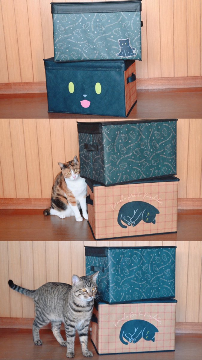 pr アベイルさんから黒猫ろんさんのグッズがたくさん出ます！ たくさん