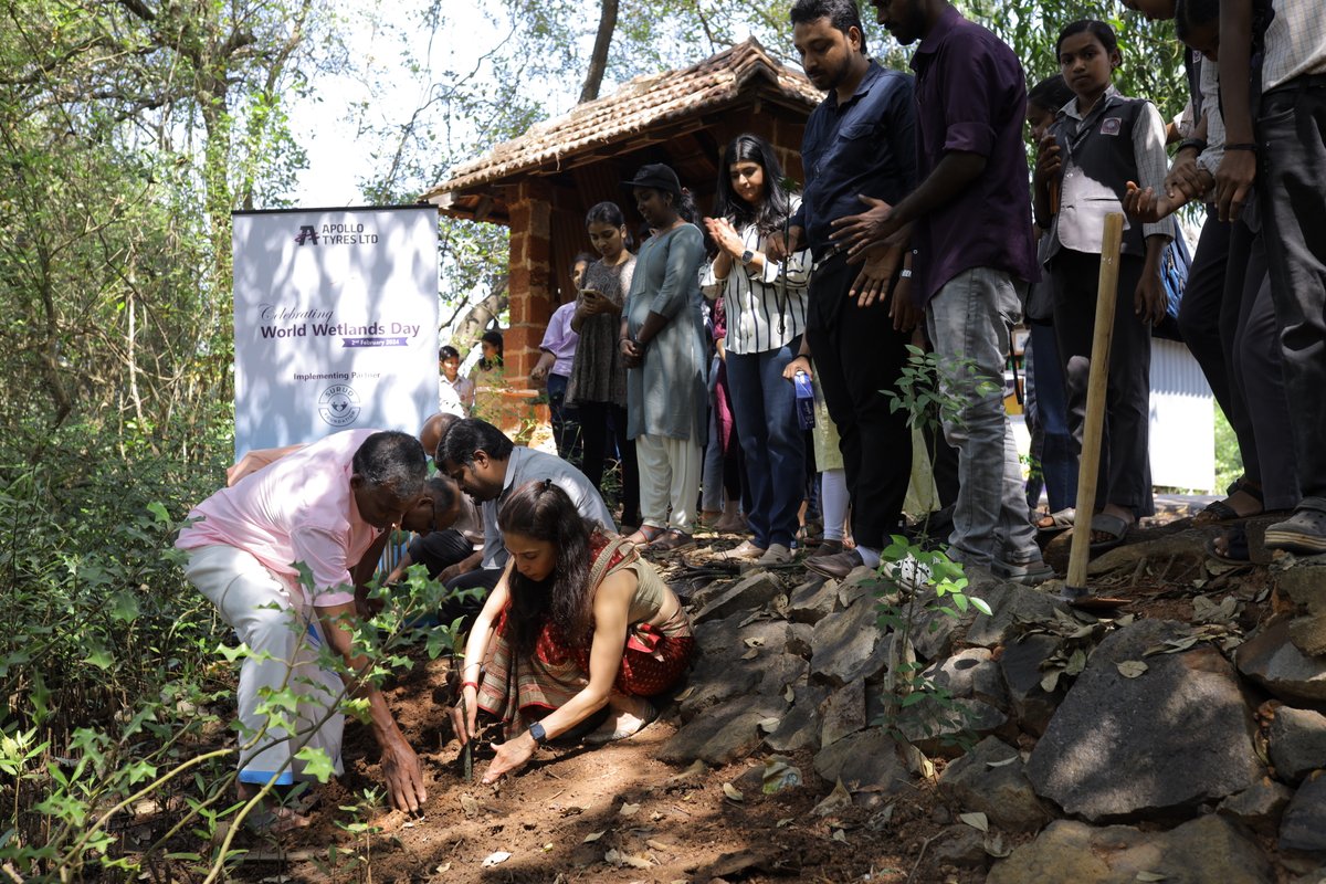 #Wetlands store 30% of land based carbon and 40% of the species live or breed in them. Yet these are disappearing. A plantation drive on #WorldWetlandsDay #MangroveConservation Project Payyanur #Kerala 
<a href="/apollotyres/">Apollo Tyres</a>