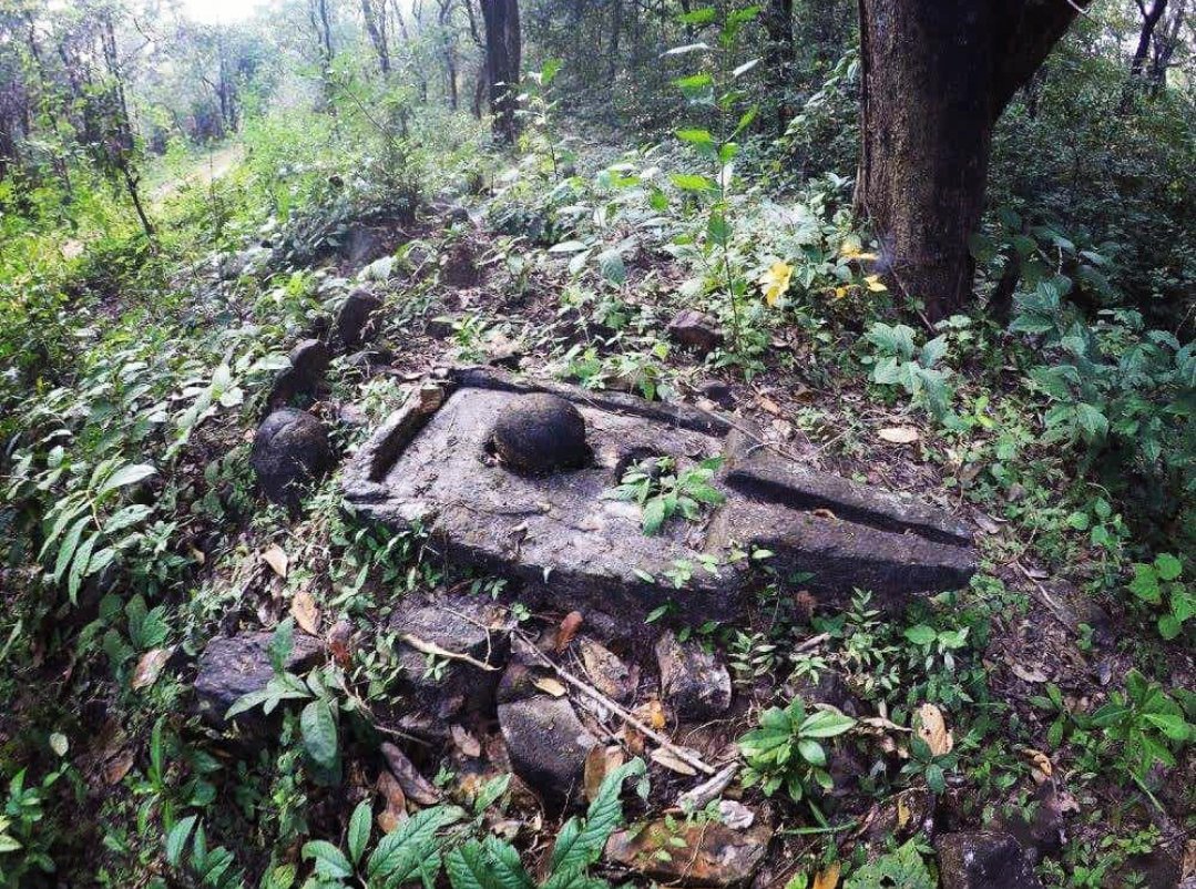 LostTemple7's tweet photo. Somewhere deep inside the Forest of GOA !! https://t.co/ePg6y0u9jm