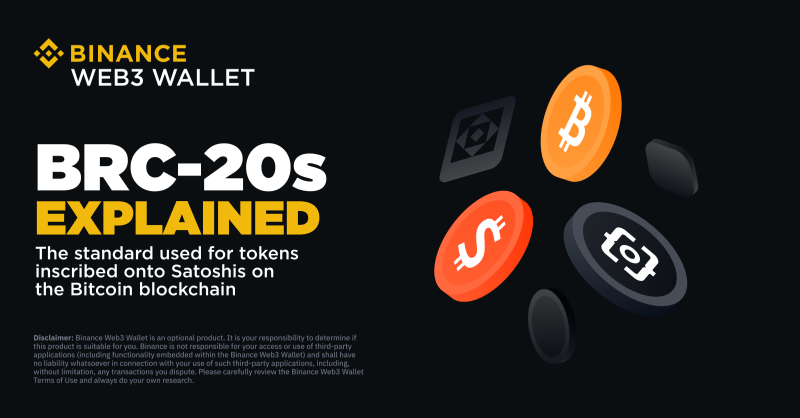 BinanceWallet's tweet photo. New to BRC-20s?

We've got you covered.

Find out how they work 👇