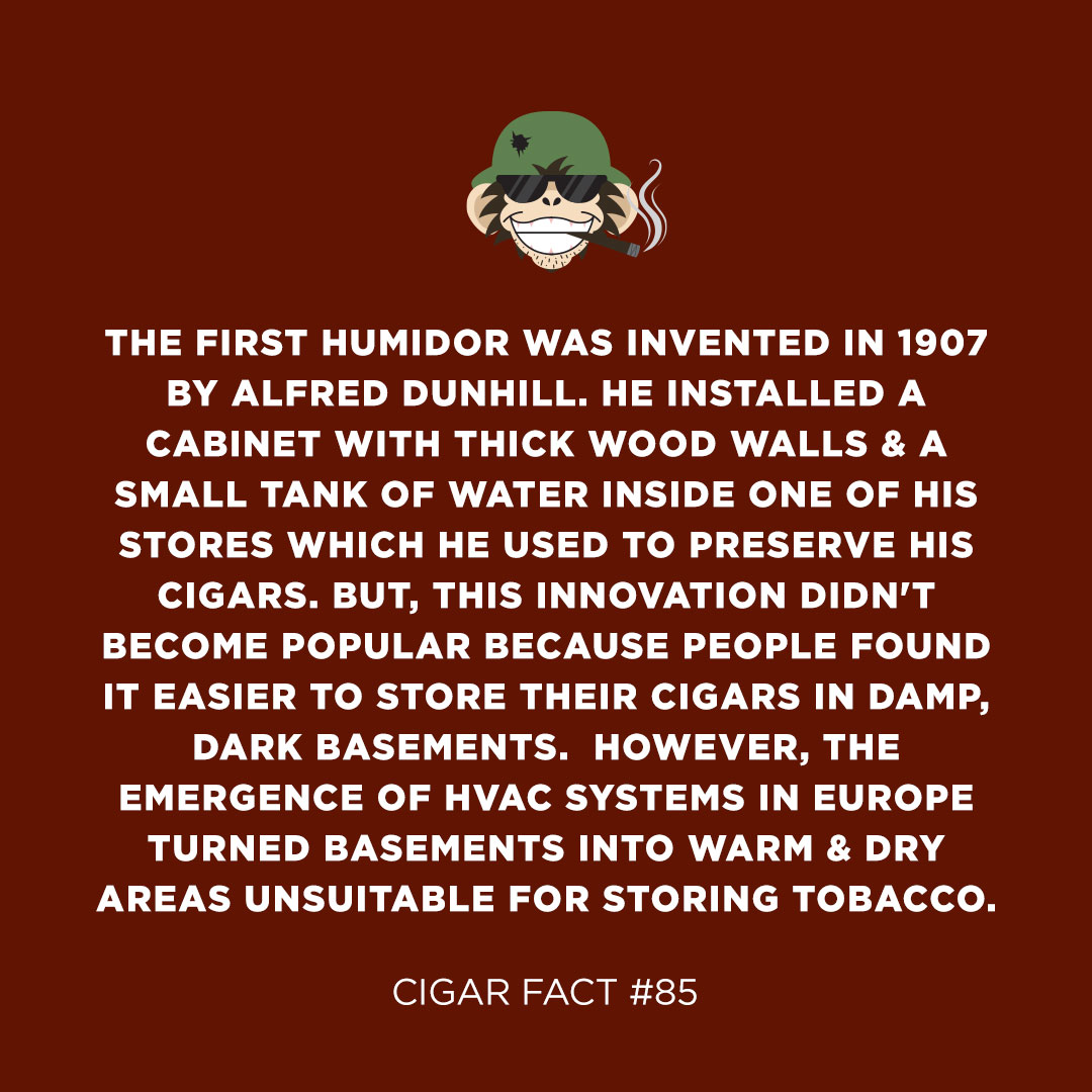 cigarpage's tweet photo. cigar fact #85 π‘ #cigarfacts #cigaroftheday #cigarnation #cpfacts #humidor #alfreddunhill #cigarpage https://t.co/DW78OgIA0z