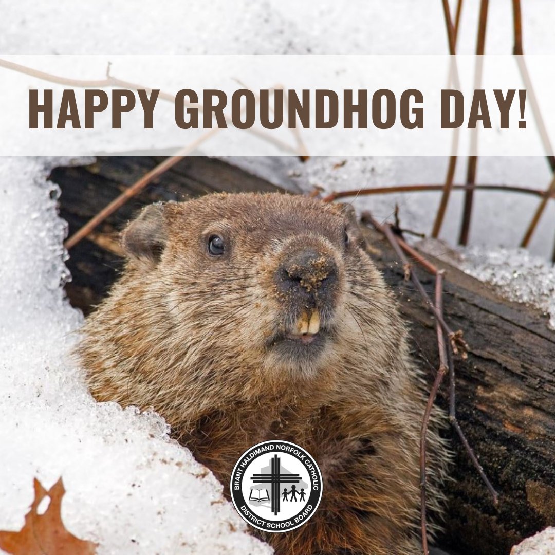 “Wiarton Willie is the name given to a Canadian groundhog who lives in the community of Wiarton in Bruce County, Ontario.” ~ Wikipedia. To learn more fun facts about Willie, visit en.wikipedia.org/wiki/Wiarton_W…