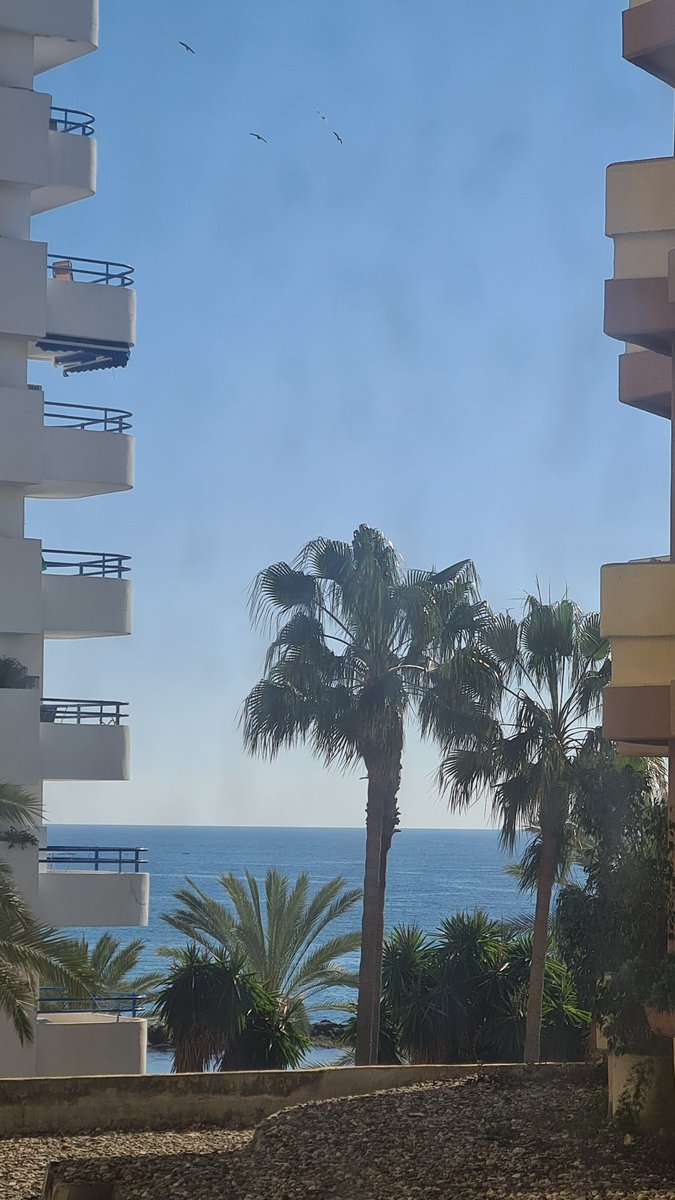 fvbigshot's tweet photo. @David_Tracey GM/GA... not quite the same view, but overlooking the same stretch of water https://t.co/SSrXZ9G3jT