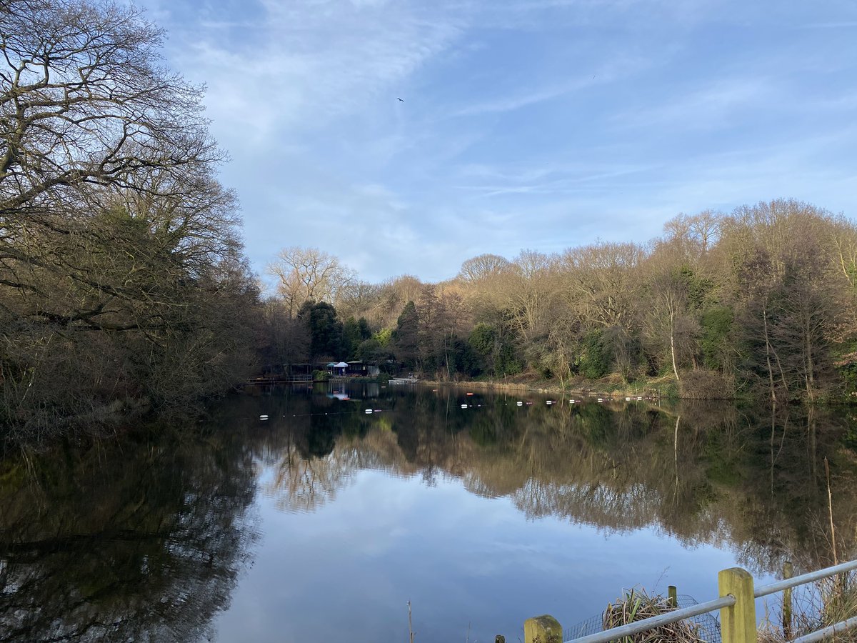 Today is #WorldWetlandsDay2024 - if you’d like to find out more about Hampstead Heath’s wetlands + the wildlife they support, do come along to 
➡️Drop-in birdwatching at the Hampstead Ponds on Sunday 04/02
➡️River Fleet guided walk Friday 16/02

More info: heath-hands.org.uk/whatson