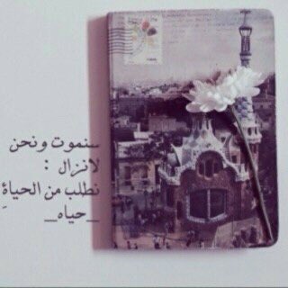 croz_97's tweet photo. https://t.co/qIBMbb6oYb
