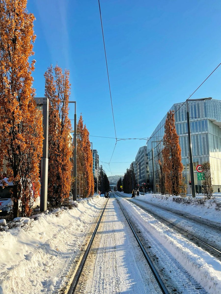 Whether you succeed or not is irrelevant, there is no such thing.  Making your unknown known is the important thing