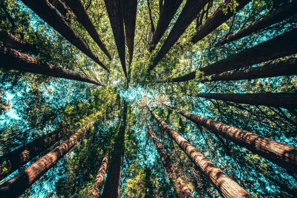 Clore Leadership (@cloreleadership) on Twitter photo Are you passionate about climate change? Do you work in the field of culture & climate emergency?
Then our brand new Fellowship, Culture & Climate Leaders Fellowship, supported by <a href="/TheLinburyTrust/">The Linbury Trust</a>, could be for you!
Apply By 8 Feb | bit.ly/CloreFellowshi… Are you passionate about climate change? Do you work in the field of culture & climate emergency?
Then our brand new Fellowship, Culture & Climate Leaders Fellowship, supported by <a href="/TheLinburyTrust/">The Linbury Trust</a>, could be for you!
Apply By 8 Feb | bit.ly/CloreFellowshi…