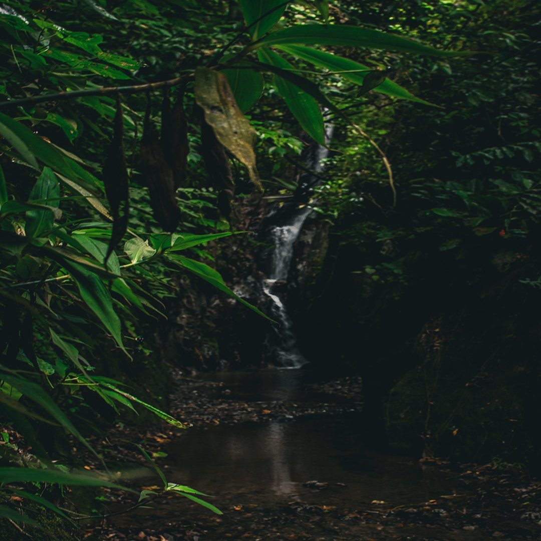 DronesLara's tweet photo. 📍Cascada Río San José Galipan, Estado La Guaira 🇻🇪

📸 @DronesLara https://t.co/NhIOJwnOiw