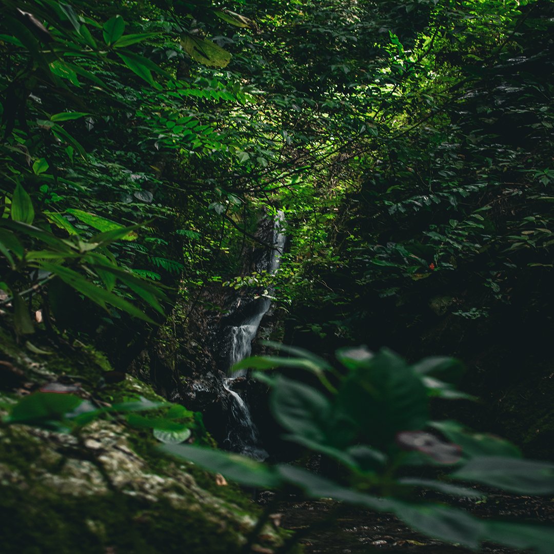 DronesLara's tweet photo. 📍Cascada Río San José Galipan, Estado La Guaira 🇻🇪

📸 @DronesLara https://t.co/NhIOJwnOiw