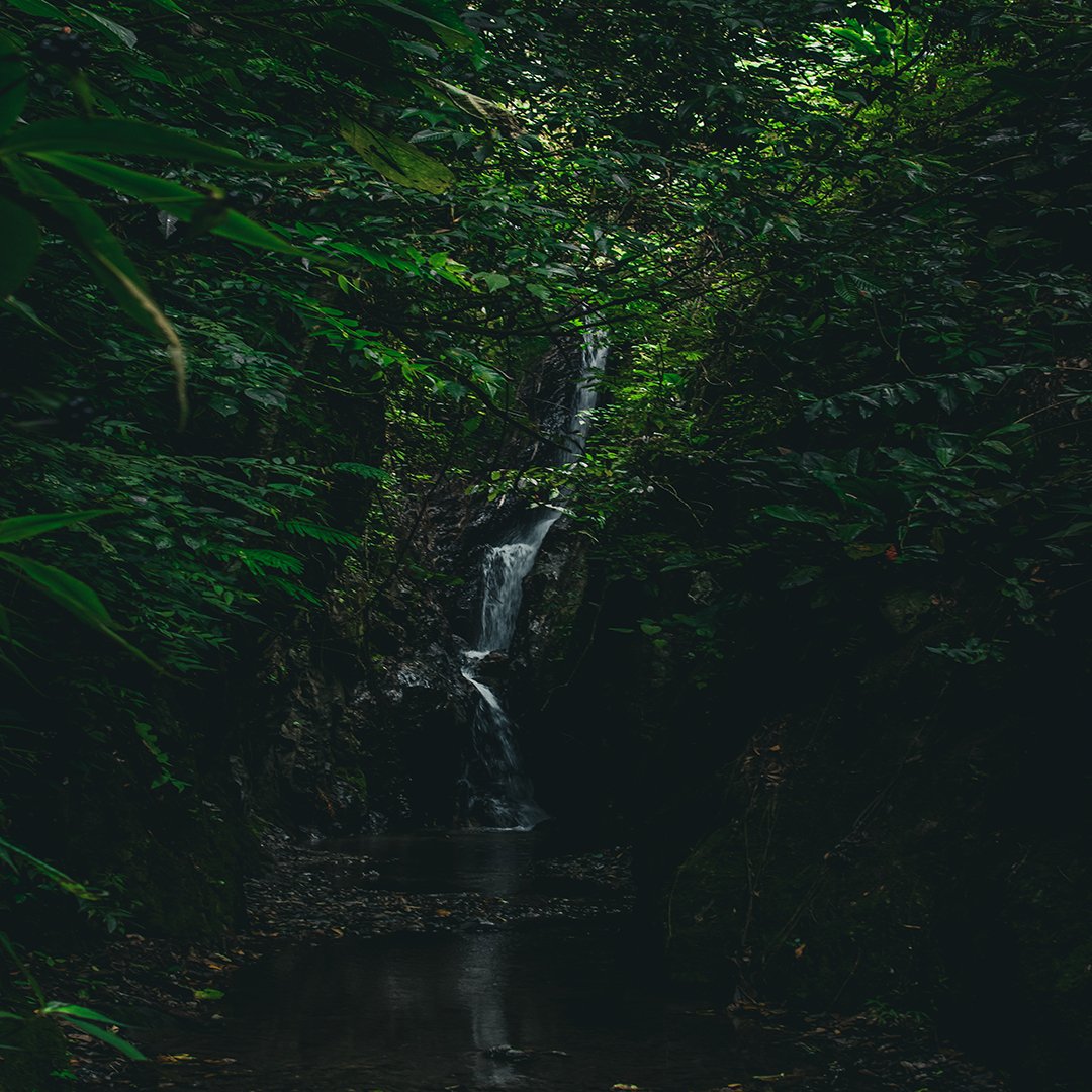DronesLara's tweet photo. 📍Cascada Río San José Galipan, Estado La Guaira 🇻🇪

📸 @DronesLara https://t.co/NhIOJwnOiw