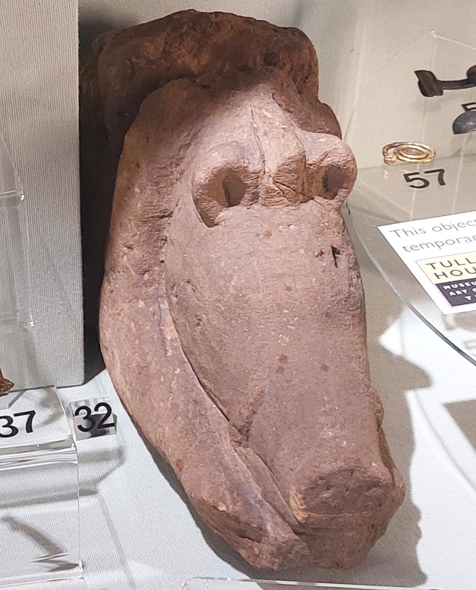#FindsFriday
#Roman wild boar sculpture carved from local red sandstone.
The boar was the symbol of 20th Legion - Legio XX Valeria Victrix - instrumental in building Hadrian's Wall, Chester fort + much more; stationed in Britain till early 4th C.
<a href="/TullieCarlisle/">Tullie</a>