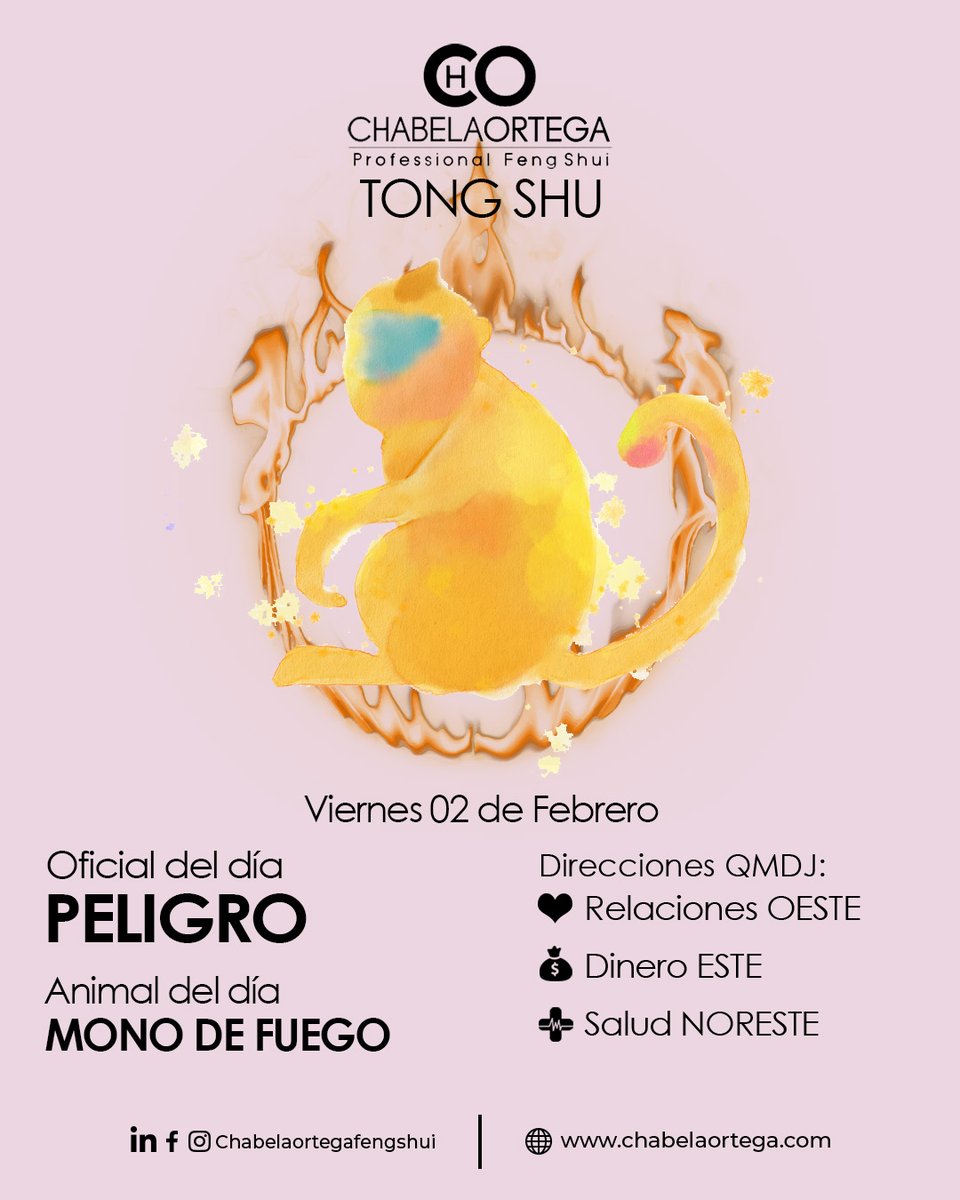 ChabelaEl's tweet photo. 📷Animal del día MONO DE FUEGO

📷Animal en contra TIGRE

📷Direcciones QMDJ
Relaciones OESTE
Dinero ESTE
Salud NORESTE
📷Bueno para comenzar negocios, cobrar deudas
📷Evitar firmar contratos, buscar ayuda médica, socializar
📷Animales beneficiados
Rata, Dragón, Serpiente, Mono https://t.co/ny9qtMkWA1