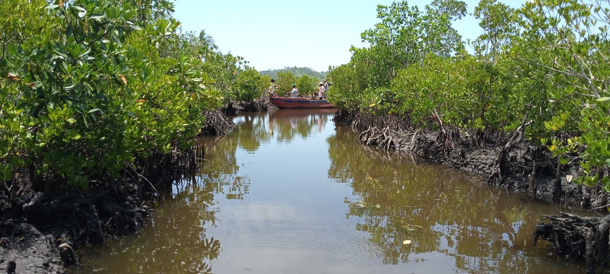 commission_coi's tweet photo. 📆02.02.24=journée mondiale des zones humides!
📍 #RECOS soutient la gestion durable des mangroves pour le bien-être des communautés de la Baie d'Antongil 🇲🇬
🤝@AFD_France @FFEM_fr @TheWCS
#JMZH2024 #ZHEtBienEtreHumain #AgirPourLesZonesHumides https://t.co/nNn2narxGf