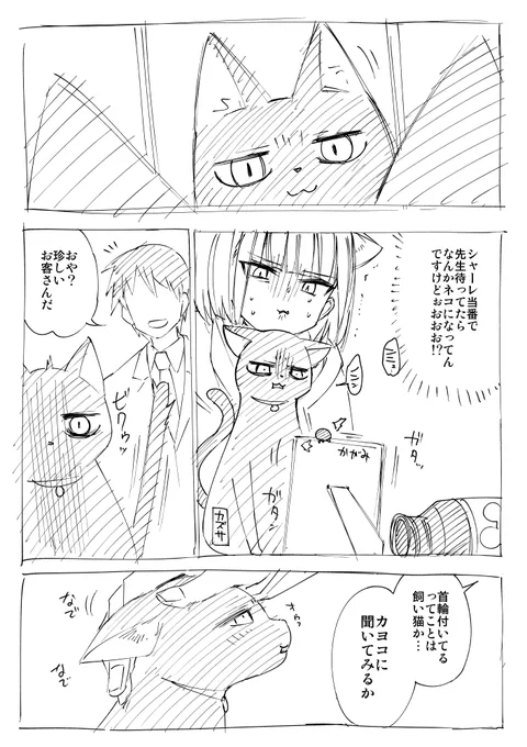 トントン🐈
#ブルアカ 