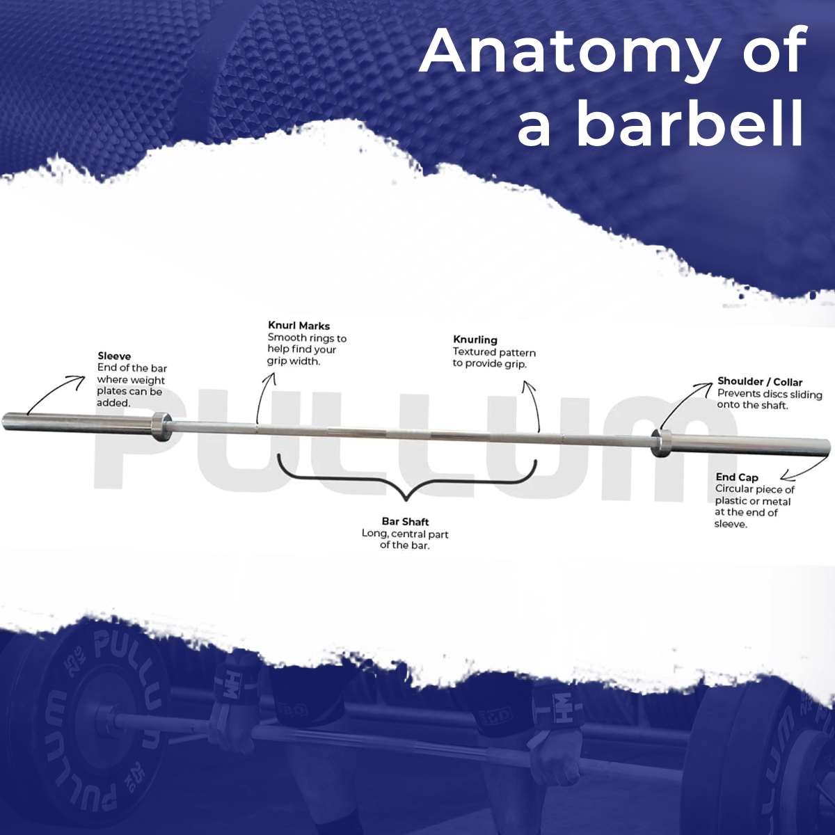 PullumGymKit's tweet photo. Breaking down the key components of a barbell. Want to learn about the bar shaft, sleeves, collars, knurling, whip and more? Check our guide: https://t.co/PqYNVs0SAt
#Weightlifting #Powerlifting #Bodybuilding #StrengthTraining #PhysicalCulture #Ivanko #Eleiko #Barbell #Pullum https://t.co/T3GVyxiLii