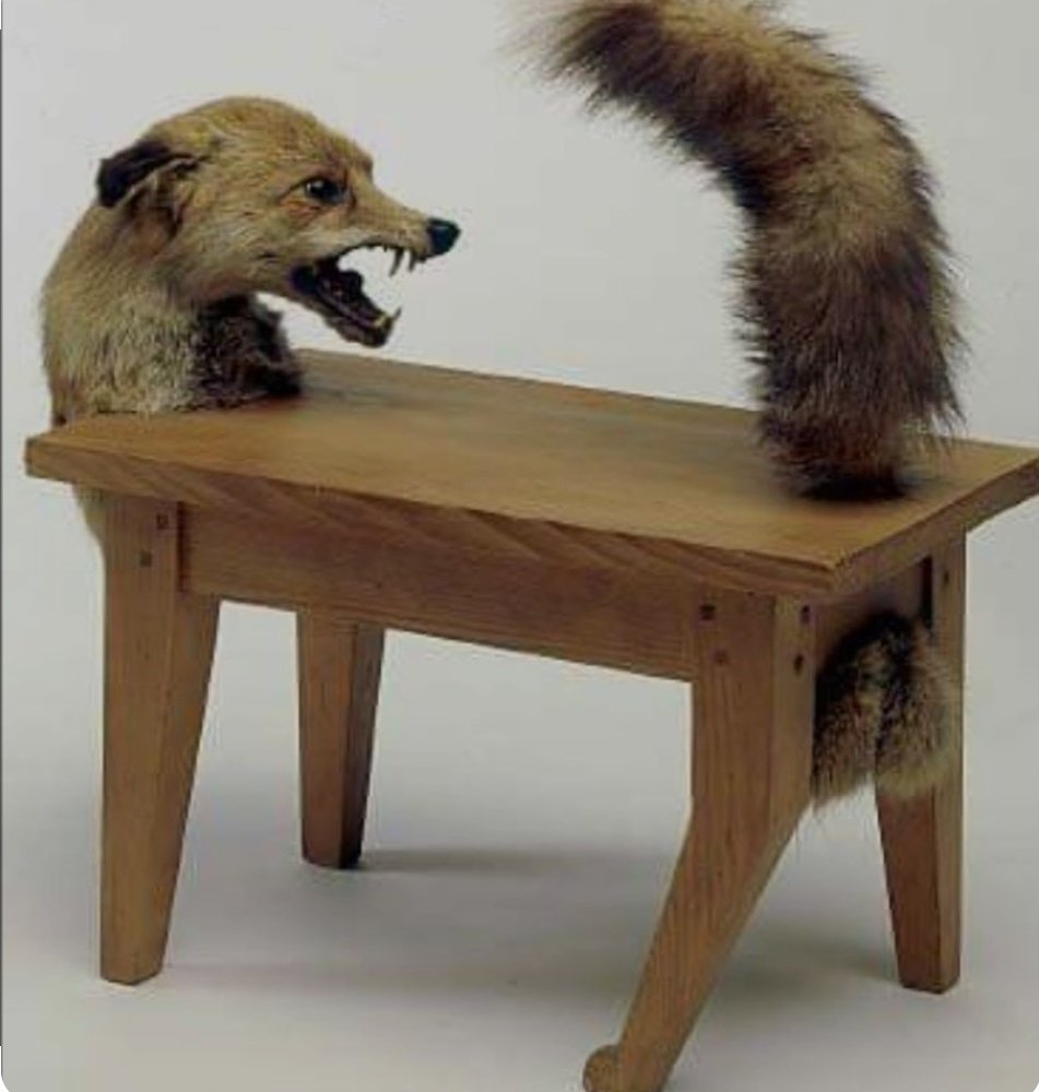 CrapTaxidermy's tweet photo. "It's a funny you should ask, my mum was a fox and my dad was a coffee table" https://t.co/NcozhMxP5p