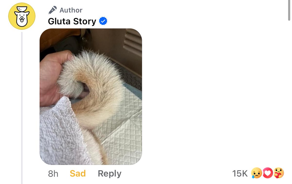 Donaldae's tweet photo. รูปเดียว สะเทือนไปทั้งใจ #GlutaStory RIP
ส่งกำลังใจให้ทางครอบครัวด้วยนะครับ 🤍 https://t.co/on3lMRK2PR