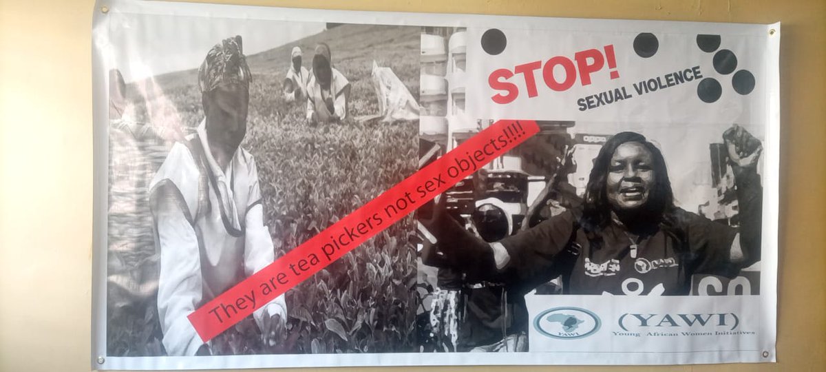 Young African Women Initiatives tweet media