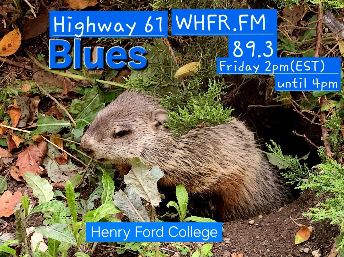 #GroundhogDay 
Please join the #whfrfmradio WHFR.FM/streamer/ for Blues, on Friday, 2pm(EST) until 4pm, for the Highway 61 #collegeradio program 'Making~Waves' on the  89.3fm broadcast, at @hfcc . #DetroitBlues  whfr.fm/playlist/searc…
