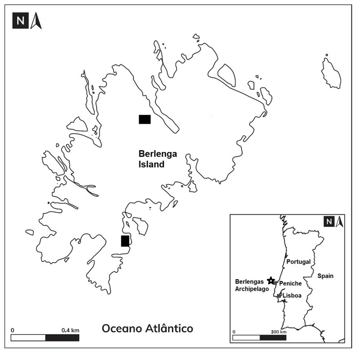 DiversityMDPI's tweet photo. ๐Explore this #article
๐ฆGulls as Indicators of Environmental Changes in the North Atlantic: A Long-Term Study on Berlenga Island, Western Portugal
๐๏ธby Ceia et. al.
Article Views 997
๐๏ธ๐ #Seabirds #EnvironmentalIndicators #BerlengaIslandStudy
๐https://t.co/D7uS0LpT5r https://t.co/JQr3TgdgEA