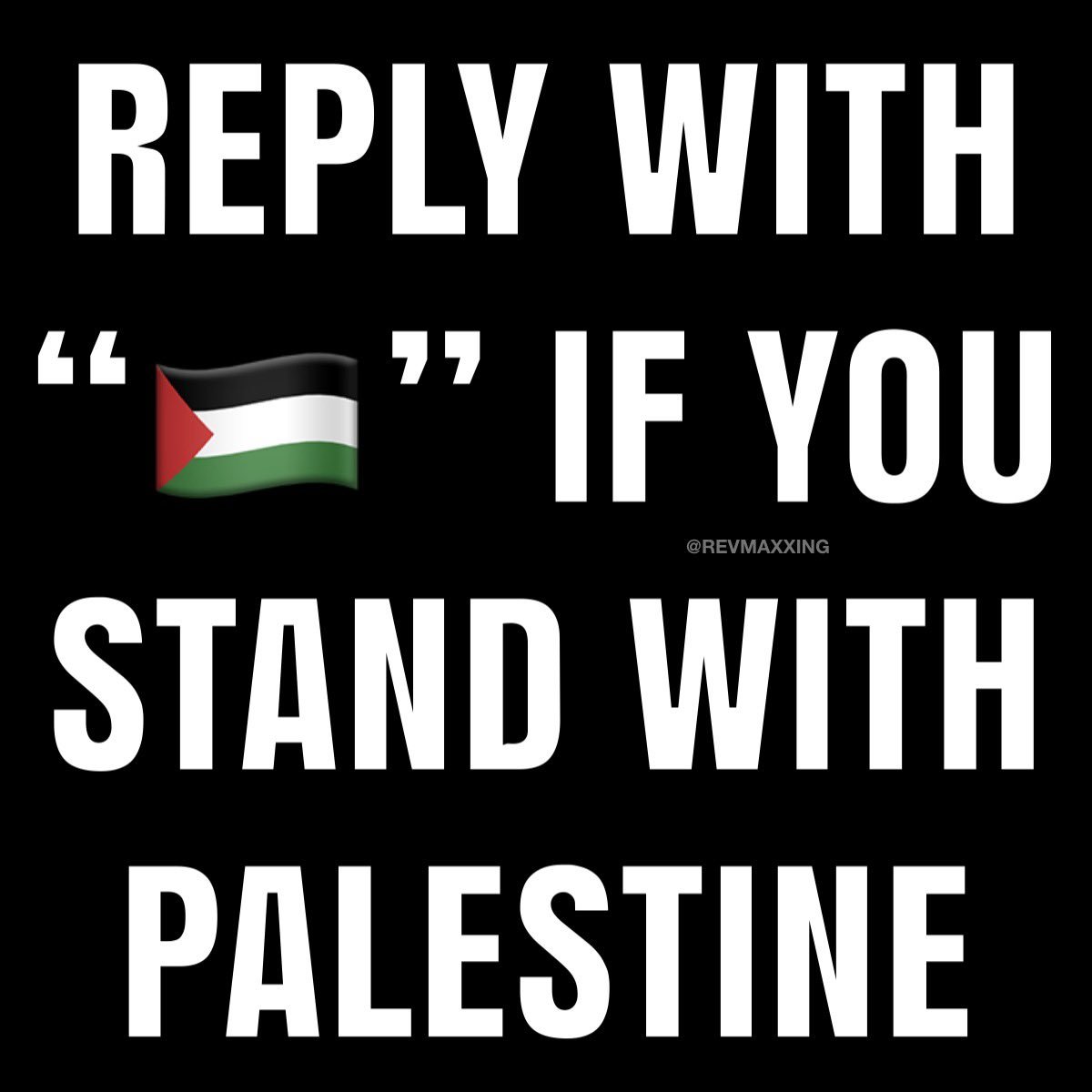 Naila Ayad🇵🇸 tweet media