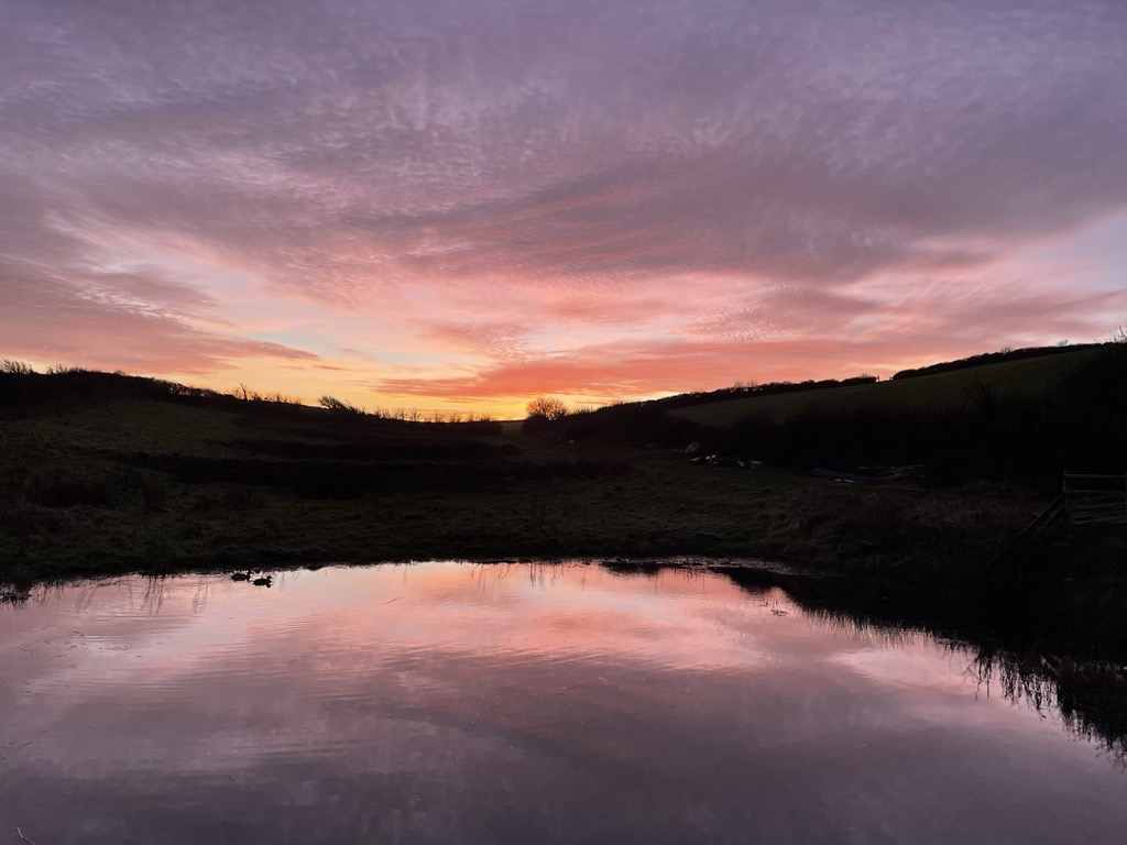 The Bazeley Partnership tweet media