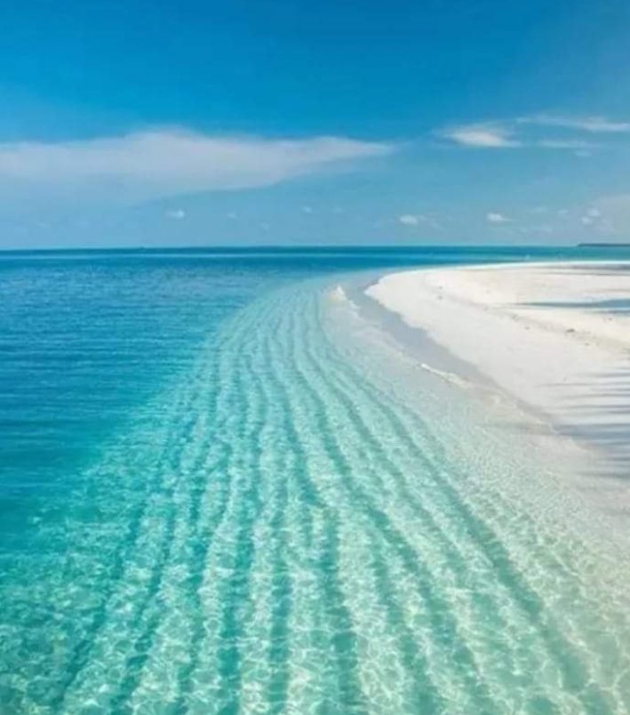 AramburuMorelia's tweet photo. Esta hermosa playa es playa "Los Muertos 🌴🌴🌴su nombre se origina, al decir de los lugareños,a un cementerio q existió en ese lugar hace muchas décadas atrás,en la península de Araya sus aguas cristalinas, cálida, arenas blancas,oleaje muy suave, estado Sucre Venezuela 🇻🇪 https://t.co/KC6uBALFe6
