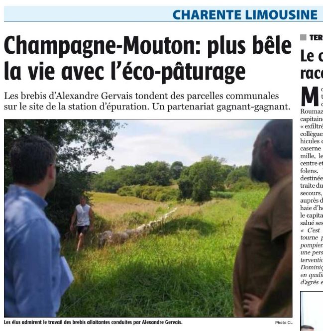 FredericSab's tweet photo. Récurrence d'un titre... (ou running gag ?) Juillet 2023, février 2024 🤔 #charentelibre https://t.co/4UV192oUtc