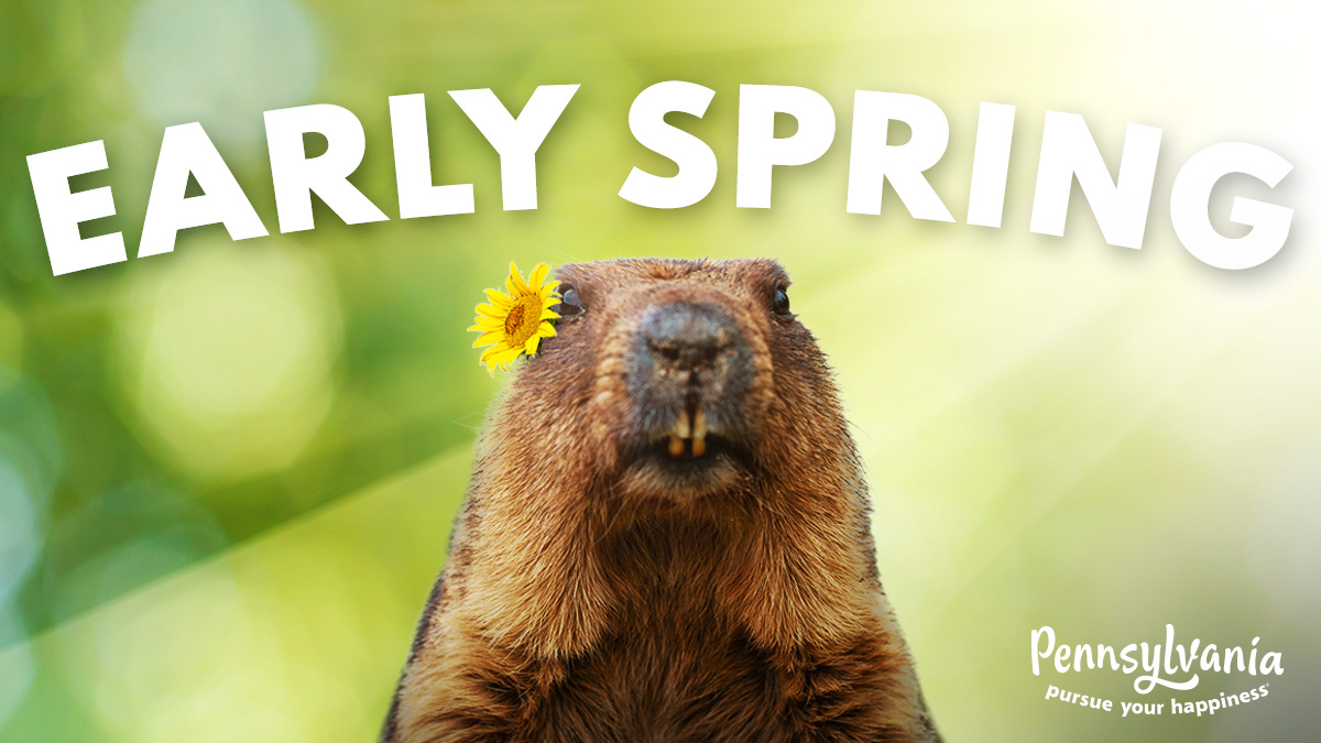 BREAKING: Bring out your favorite sunnies – Punxsutawney Phil declares an early spring 🌷