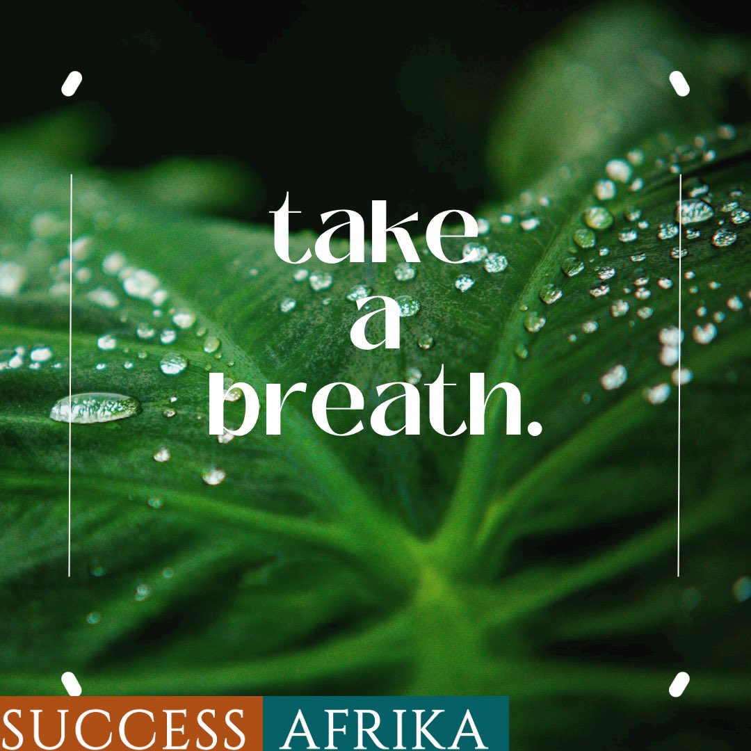 Success Afrika (@successafrika) on Twitter photo 