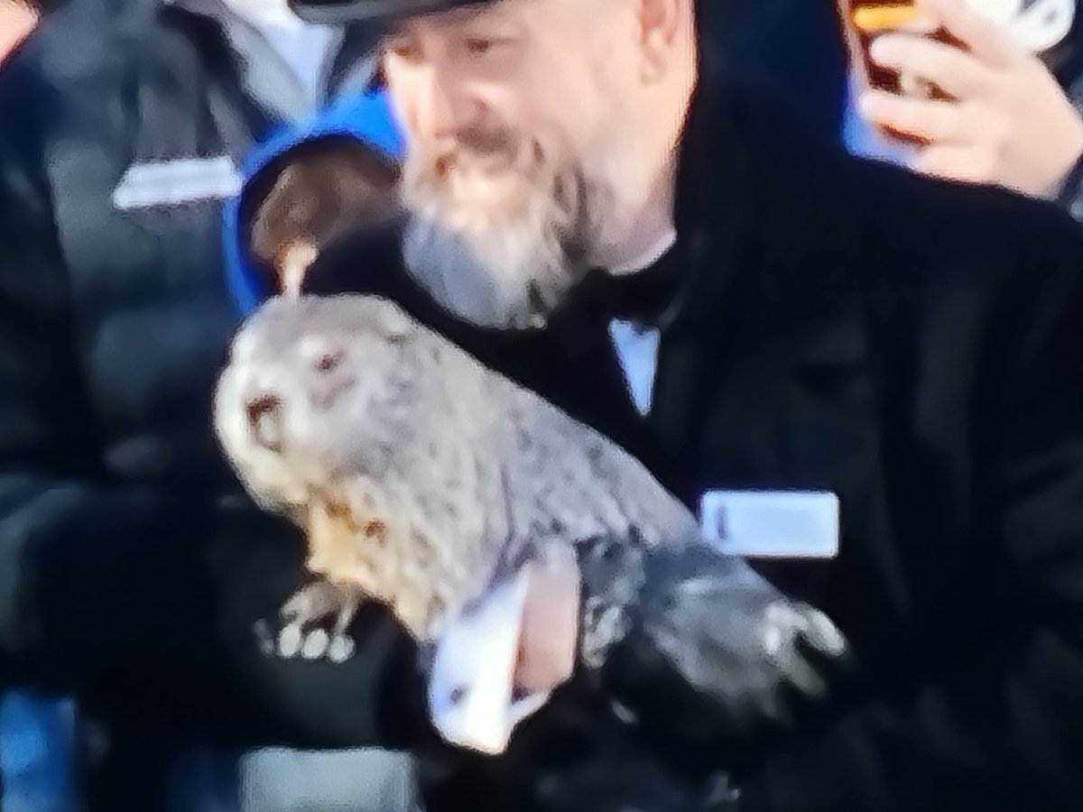 bhagrp's tweet photo. Early spring! Thank you Punxsutawney Phil #PunxsutawneyPhil #GroundhogDay2024 #GroundhogDay #groundhog #ghd2024 https://t.co/OpiENpVDQp
