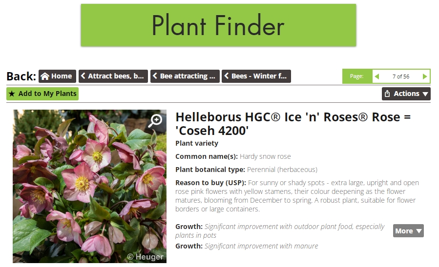 JoyofPlants's tweet photo. #PlantoftheWeek – Early flowers are really important for bees. Our Plant Finder recommends winter flowering honeysuckle, hellebores, snowdrops &amp; common primroses. @BransfordWebbs supply a lovely selection of Hellebores, try the Helleborus Ice 'n' Roses in Red, Rose and White. https://t.co/i7LyjCIbF5