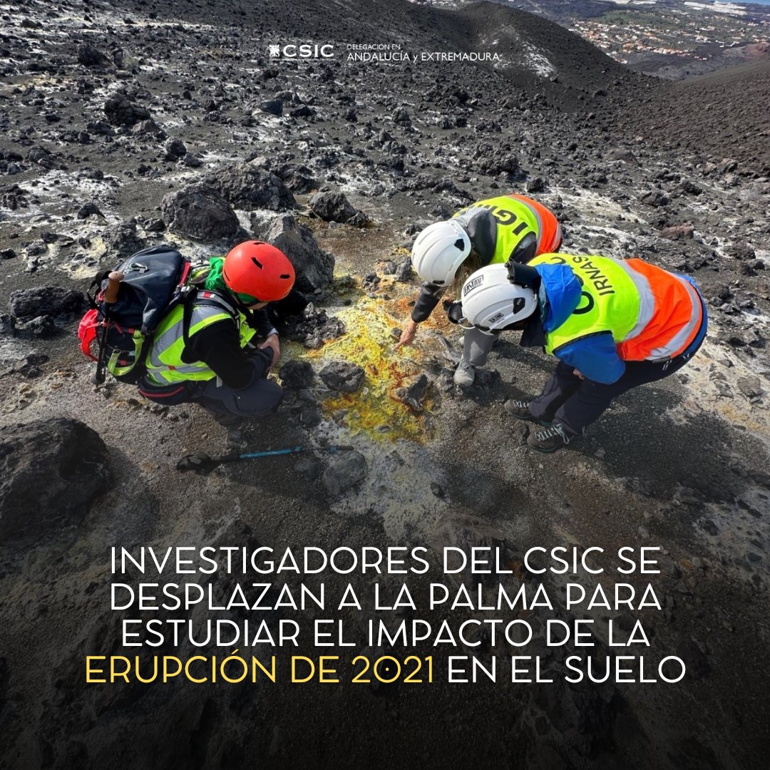 CSICAndalExtrem's tweet photo. Estas son las noticias a las que damos difusión este viernes 2 de febrero📰 #noticiascsicandalextrem

Más información: https://t.co/1ZlAbOPtNu

Parte 1/3

#noticias #CSIC #ciencia https://t.co/KaOuuRbRRT