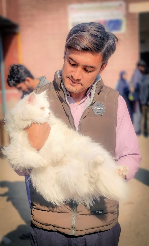 Muhammad1153582's tweet image. I don't know why I like cats so much !!!
#vetforpet #Veterinarians #Doctorsahab #AnimalLovers