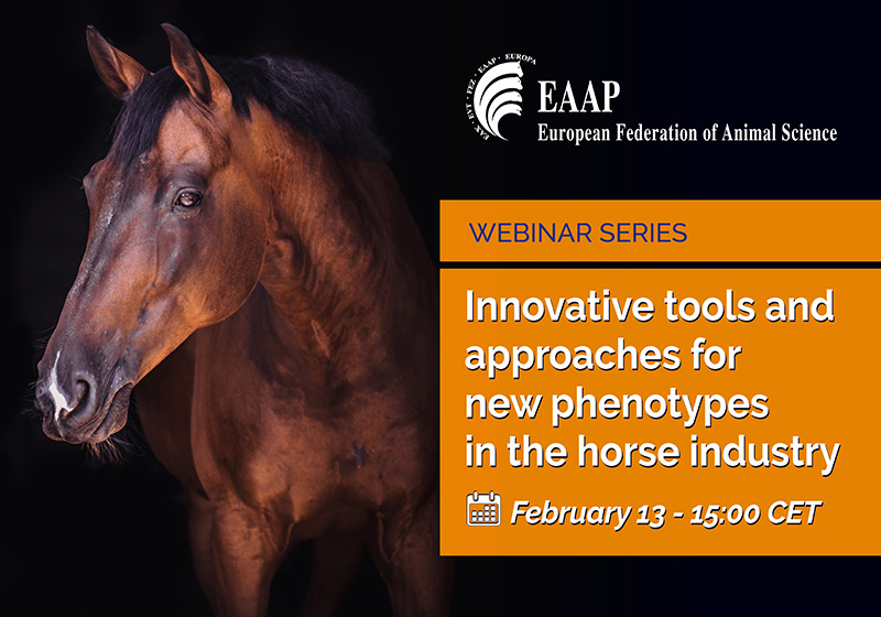 rfeagas's tweet image. 🐴 La @EAAPofficial organiza un #seminario sobre herramientas y enfoques innovadores para nuevos #fenotipos en la industria #equina.

📆 Se llevará a cabo el 13 de #febrero y para poder participar en necesario registrarse de forma previa.

🔗 rfeagas.es/eaap-seminario…